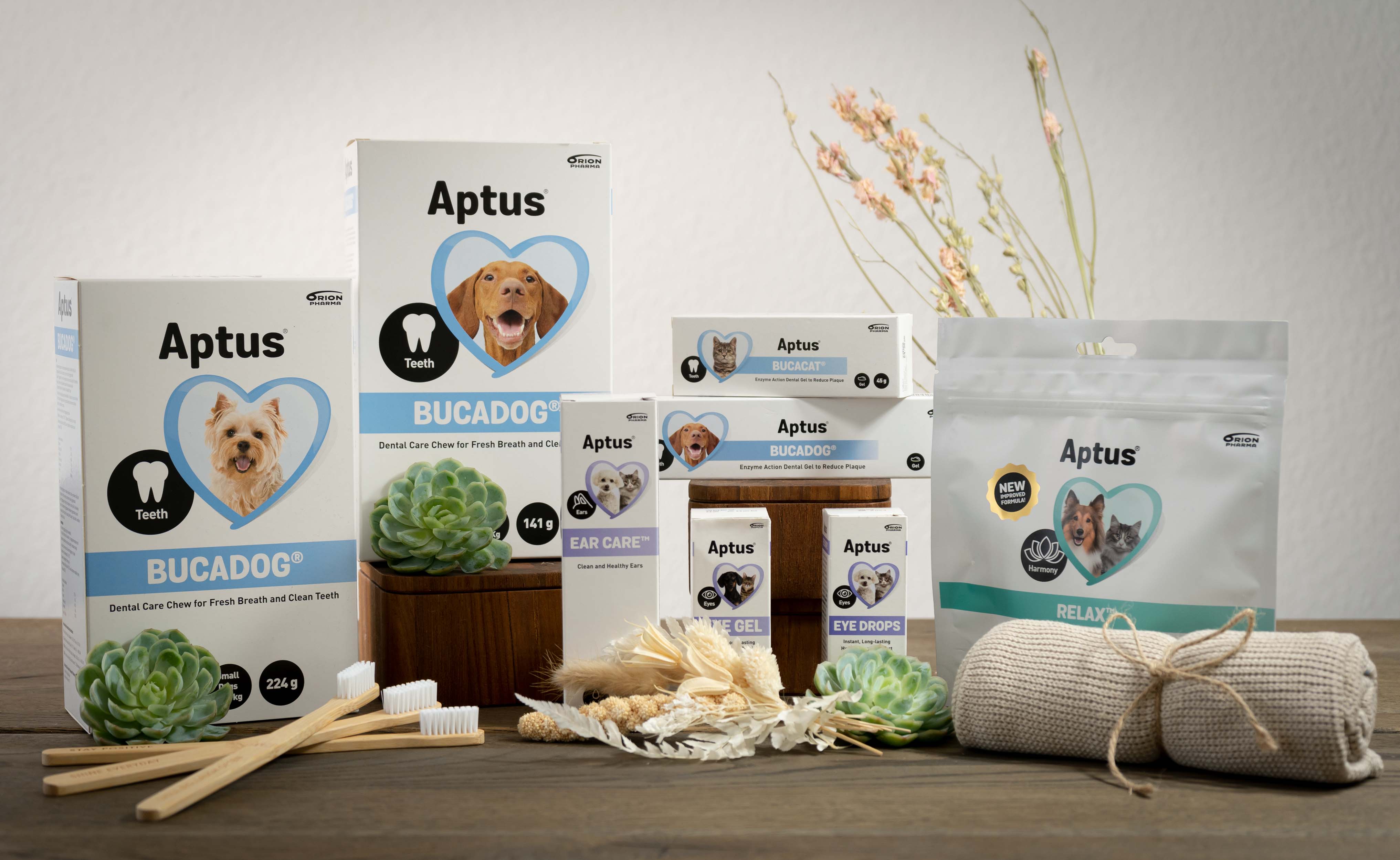 Aptus